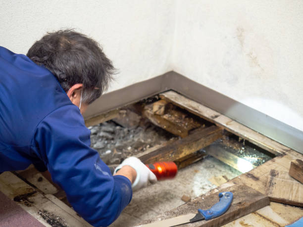 Water Damage Restoration in Louisville, TN