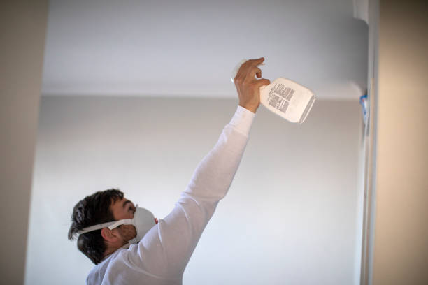 Best Mold Removal Near Me  in Louisville, TN